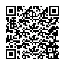 QR-code voor telefoonnummer +12095941729