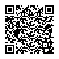 QR-code voor telefoonnummer +12095942539