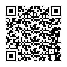 QR-Code für Telefonnummer +12095944277