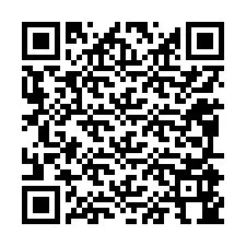 QR-koodi puhelinnumerolle +12095944332