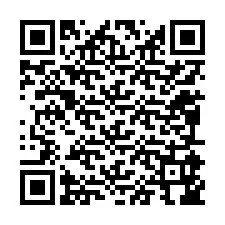 QR-code voor telefoonnummer +12095946096