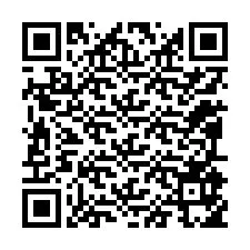 QR Code สำหรับหมายเลขโทรศัพท์ +12095955769