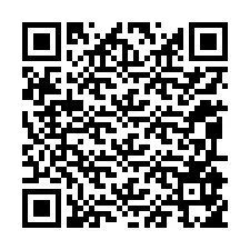 QR-code voor telefoonnummer +12095955770