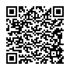 QR Code pour le numéro de téléphone +12095955772