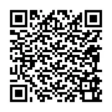 QR Code for Phone number +12095960126
