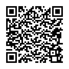 电话号码二维码 +12095960127
