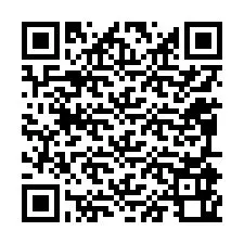 QR-koodi puhelinnumerolle +12095960316