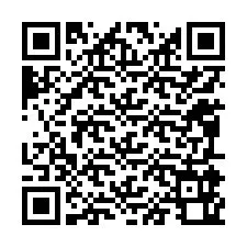 Código QR para número de teléfono +12095960452