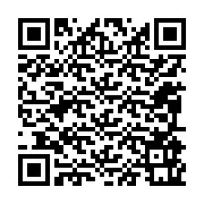 QR-код для номера телефона +12095961737