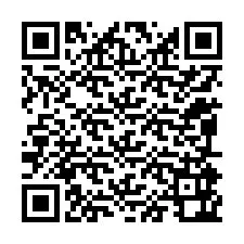 QR-Code für Telefonnummer +12095962294