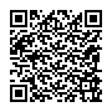 Código QR para número de telefone +12095965395