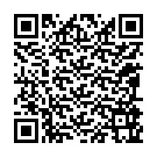 QR-код для номера телефона +12095965668