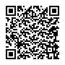 QR-koodi puhelinnumerolle +12095969216