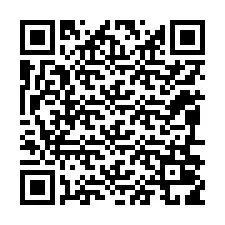 QR Code for Phone number +12096019241