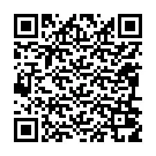QR Code for Phone number +12096019246
