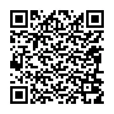 QR-code voor telefoonnummer +12096019246