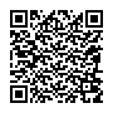 QR-код для номера телефона +12096019248