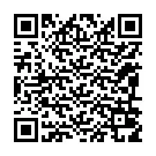 QR kód a telefonszámhoz +12096019431