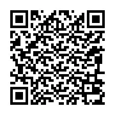 QR Code for Phone number +12096035004