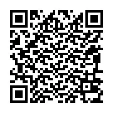 QR-koodi puhelinnumerolle +12096035004