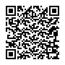 QR-koodi puhelinnumerolle +12096035005