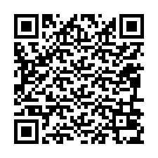 電話番号のQRコード +12096035006