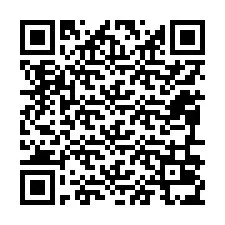 电话号码二维码 +12096035007