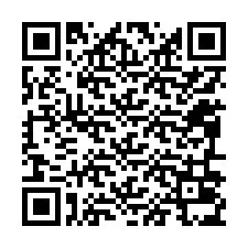 QR Code for Phone number +12096035013