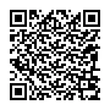 QR Code สำหรับหมายเลขโทรศัพท์ +12096035014