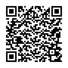 QR-koodi puhelinnumerolle +12096052195