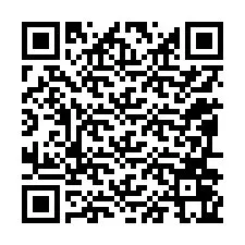 QR kód a telefonszámhoz +12096065778