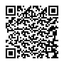 QR-koodi puhelinnumerolle +12096094200