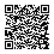 QR Code สำหรับหมายเลขโทรศัพท์ +12096095308