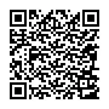 QR-koodi puhelinnumerolle +12096103346