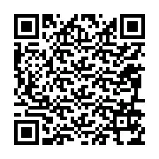 QR-код для номера телефона +12096174906