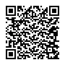 QR-code voor telefoonnummer +12096251333