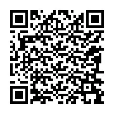 QR-koodi puhelinnumerolle +12096299288