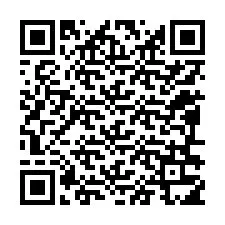 QR-код для номера телефона +12096315228