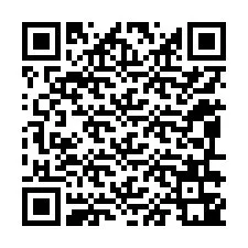 QR Code pour le numéro de téléphone +12096341530