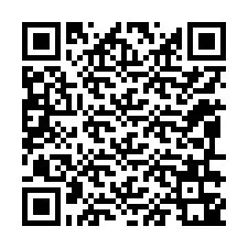 QR-code voor telefoonnummer +12096341531