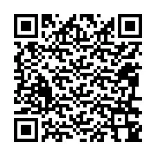 QR-Code für Telefonnummer +12096344653