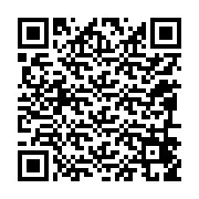 QR-Code für Telefonnummer +12096459418