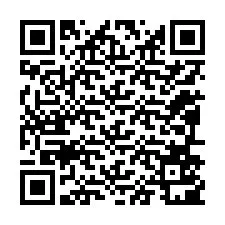 QR код за телефонен номер +12096501739