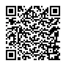 QR kód a telefonszámhoz +12096501861