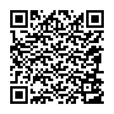 QR-code voor telefoonnummer +12096503388