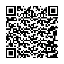 QR-Code für Telefonnummer +12096503734