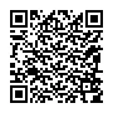 QR-koodi puhelinnumerolle +12096504691