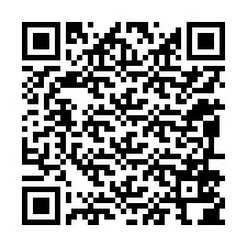 QR-koodi puhelinnumerolle +12096504964