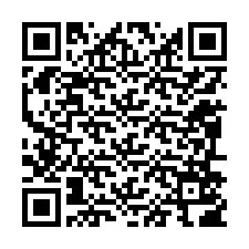 QR Code for Phone number +12096506676