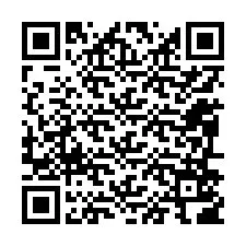 QR kód a telefonszámhoz +12096506677